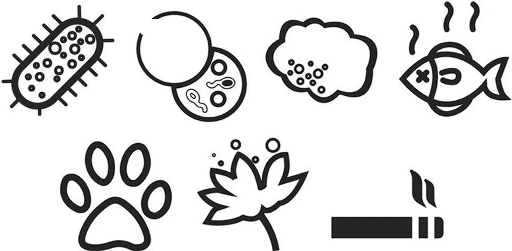 HONEYWELL AirGenius 5 Luftreiniger Schwarz (58 Watt, Raumgröße: 112 M3, IfD) – Bild 10